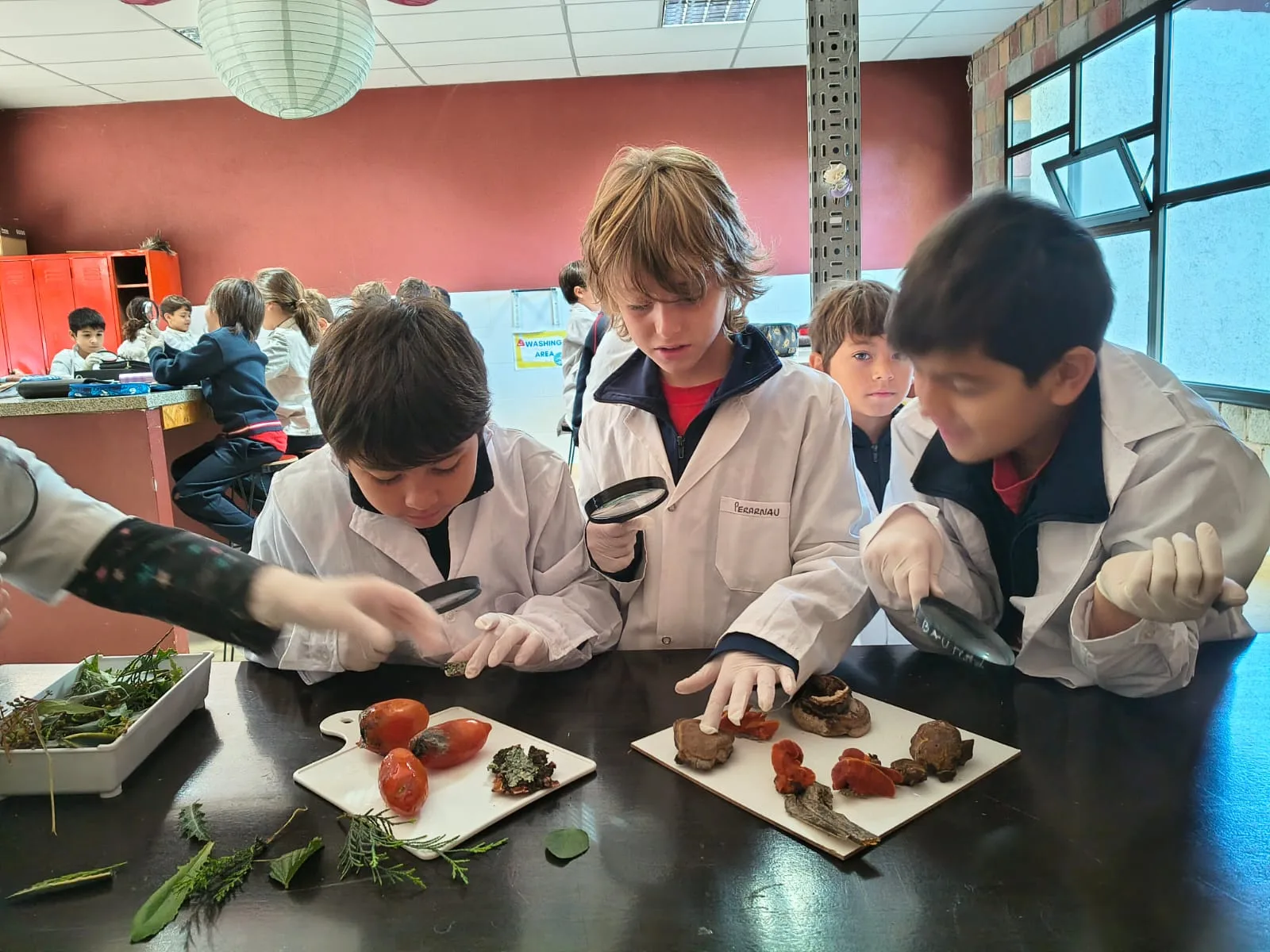 Actividades educativas y de exploración