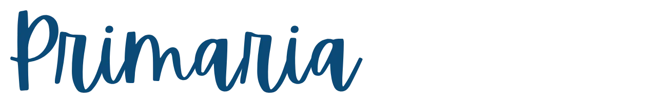 Nuestros Inicios